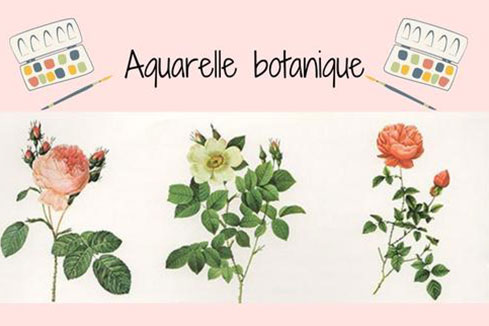 Aquarelle botanique