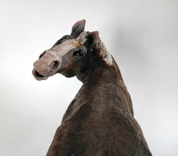 Le chasse mouche – Image 4
