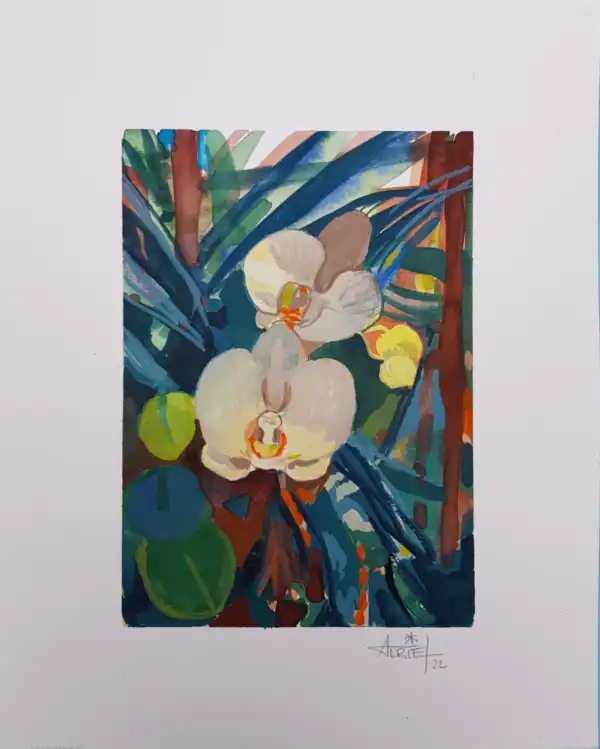 Orchidées ensoleillées